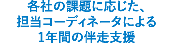 各社の課題に応じた、担当コーディネーターによる1年間の伴走支援